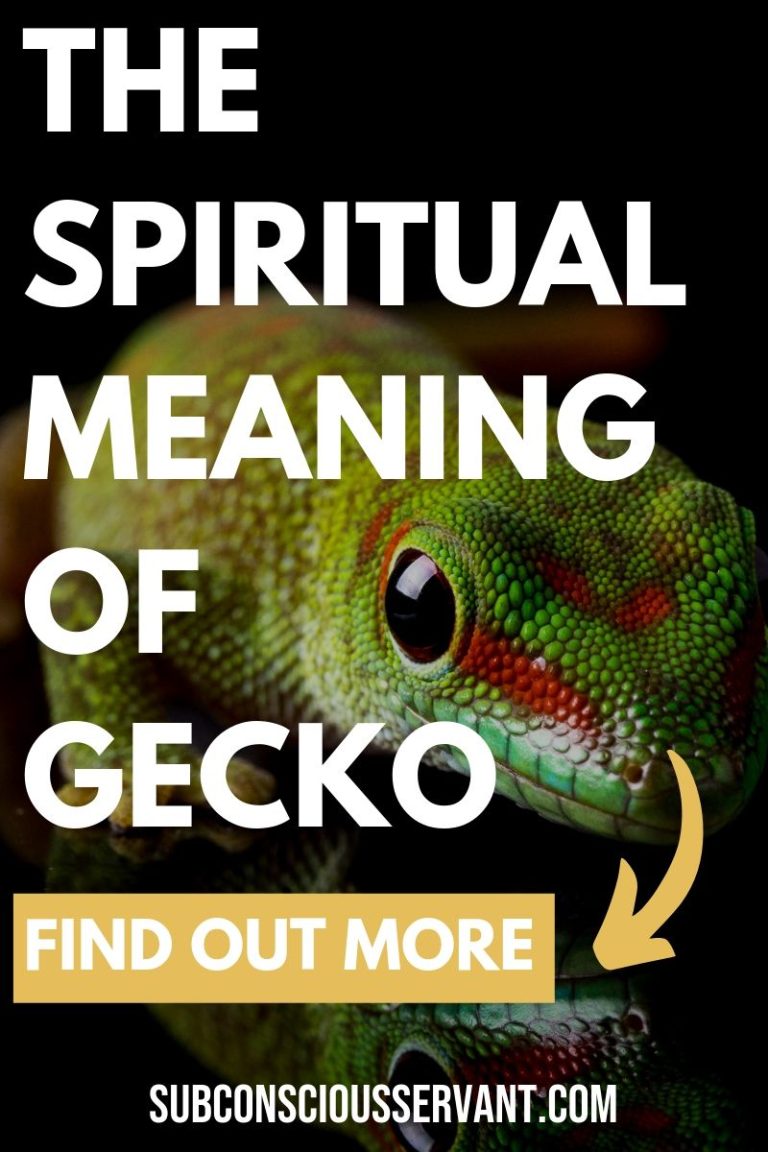 Gecko Spiritual Meaning What Does Seeing This Lizard Actually Mean 
