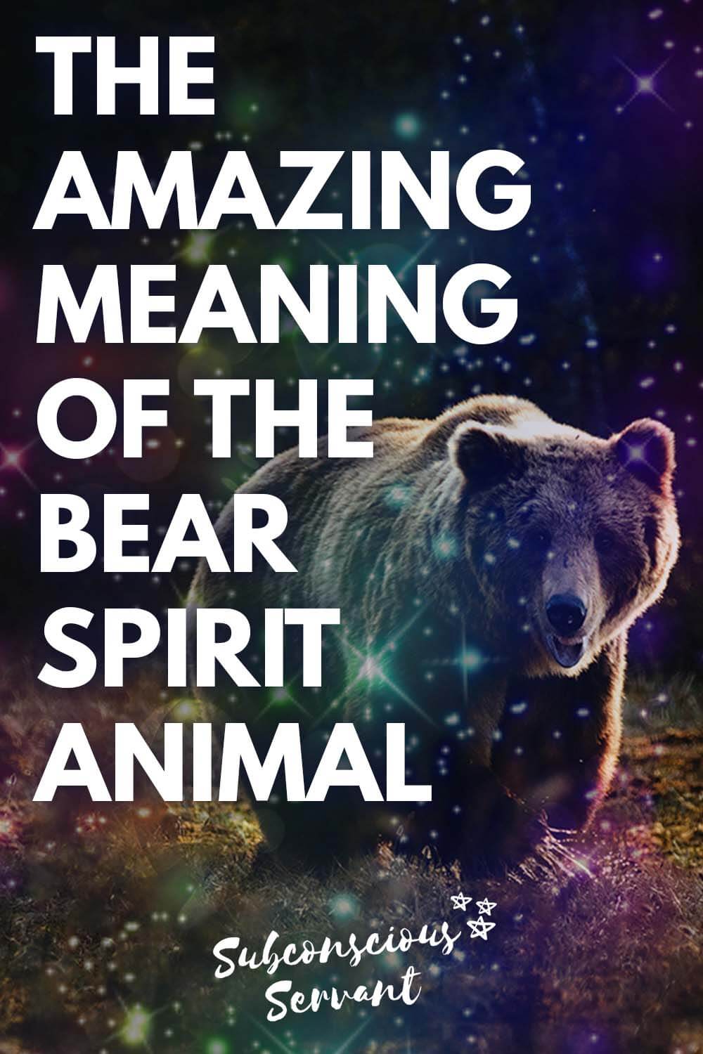 is-the-bear-your-spirit-animal-discover-it-s-spiritual-secrets-here