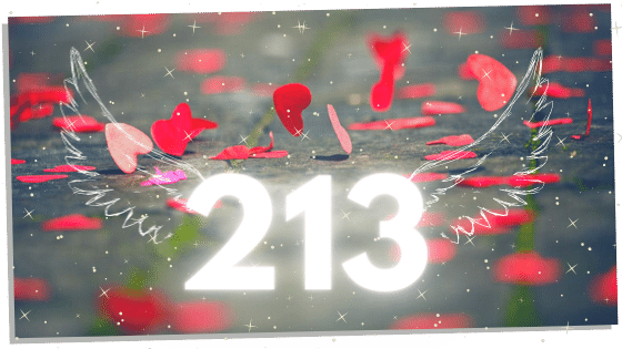 213 and love