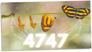 Seeing 4747? The Amazing Spiritual Meaning Of Angel Number 4747 ...