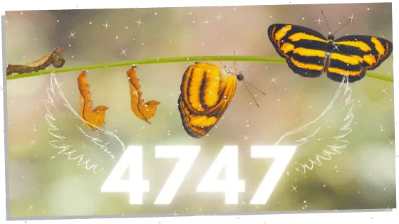 Butterfly and 4747