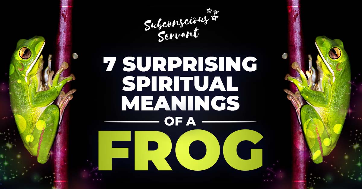 7 Surprising Frog Spiritual Meanings (Dreams, Omens & More