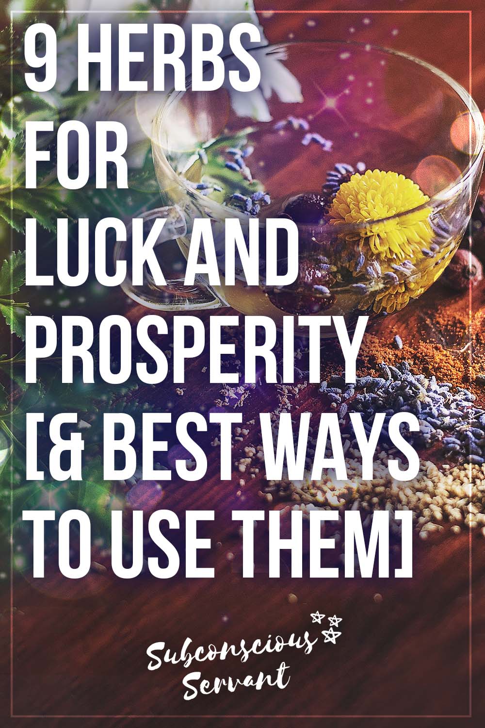 9 Herbs For Luck And Prosperity [& Best Ways To Use Them]