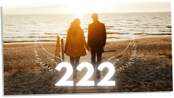 what is the meaning of 222? 222 angel number meaning Love and Career Insights