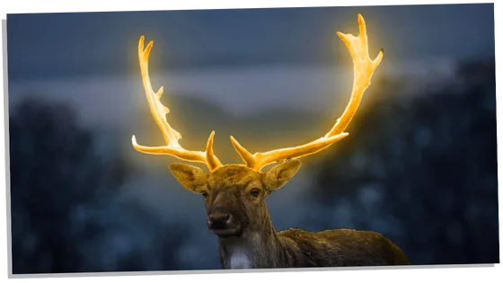 Deer with a golden aura
