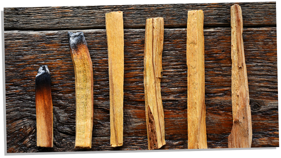 Different types of Palo Santo you can buy