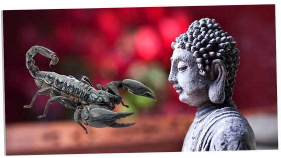The meaning of Scorpions in Buddhism