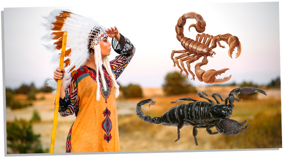 Scorpions and Native Americans