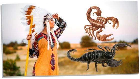 Scorpions and Native Americans