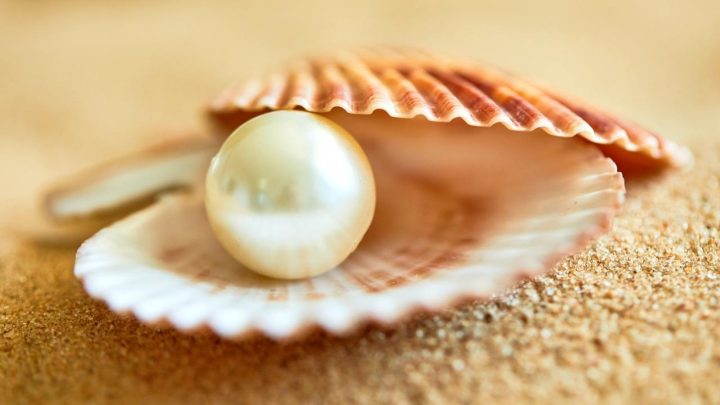 Timeless Treasures: 101+ Inspiring Quotes About Pearls