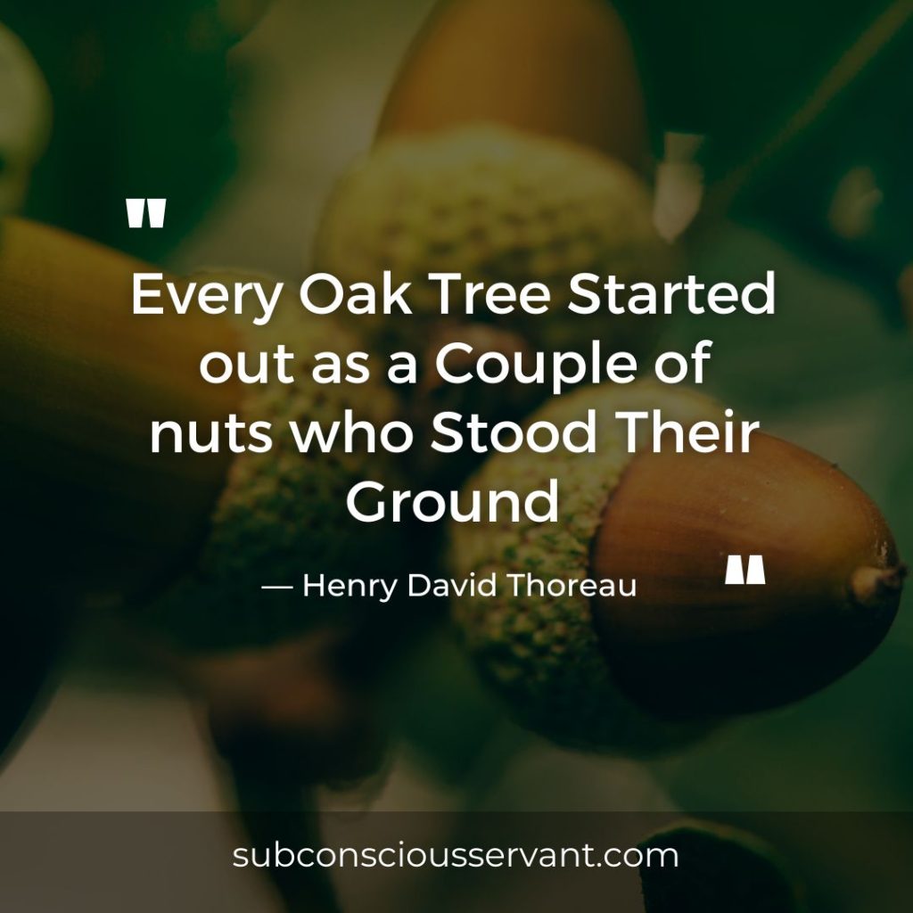 60+ Deep And Meaningful Oak Tree Quotes
