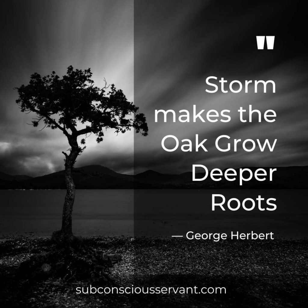 60+ Deep And Meaningful Oak Tree Quotes