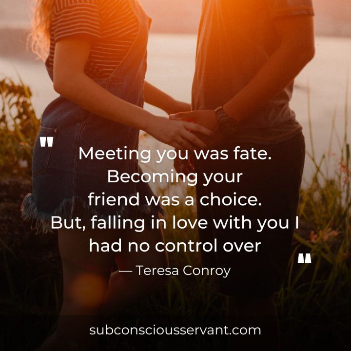 Meeting you was fate quotes