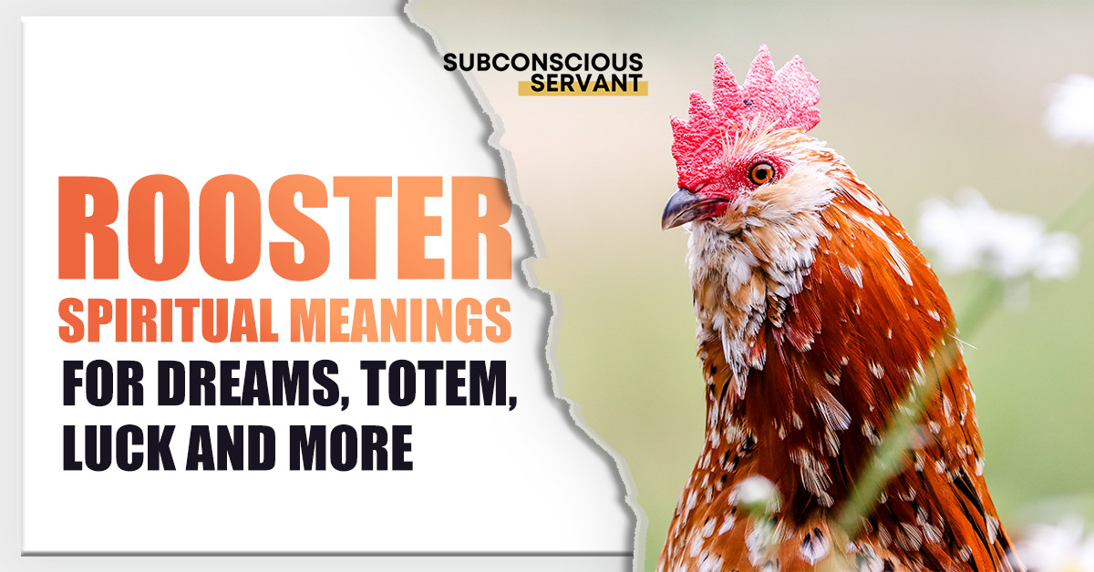 A WakeUp Call? The Rooster Spiritual Meanings Explored
