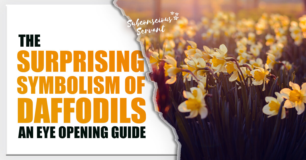 The Surprising Symbolism Of Daffodils An Eye Opening Guide