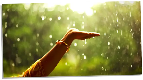 When It Rains, It Pours: The Surprising Symbolism Of Rain ...