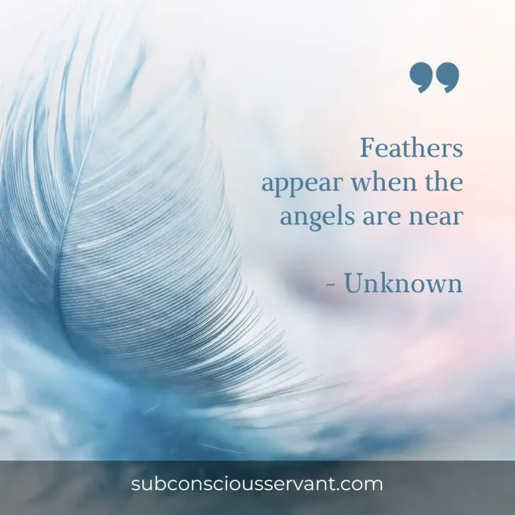 Image of angelic feather quote
